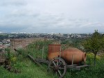 P5031119_150.jpg